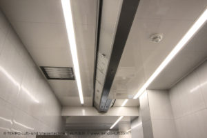 MO01_Alpenrose-Maurach